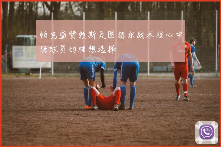 帕克盛赞赖斯是图赫尔战术核心中场球员的理想选择