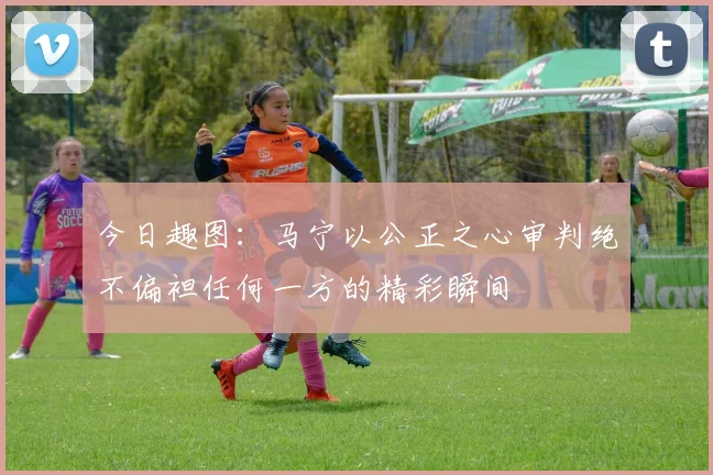 今日趣图：马宁以公正之心审判绝不偏袒任何一方的精彩瞬间