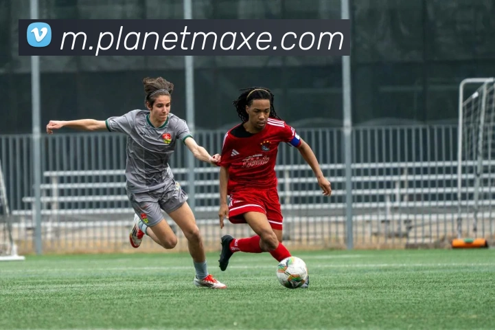 mksports官方网站APP 封面图